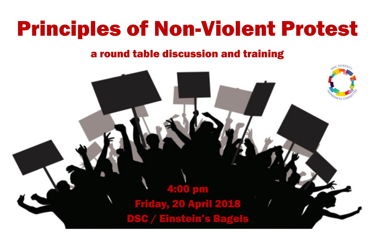 Principles of Non-Violent Protest: Round table Discussion image