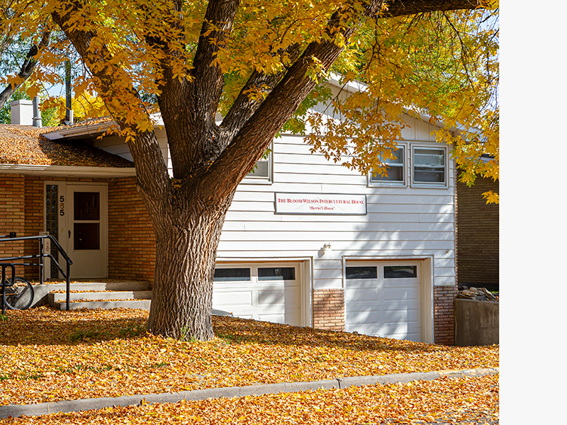 A brick house shaded by a large tree with brilliant fall colors and a lawn covered with leaves