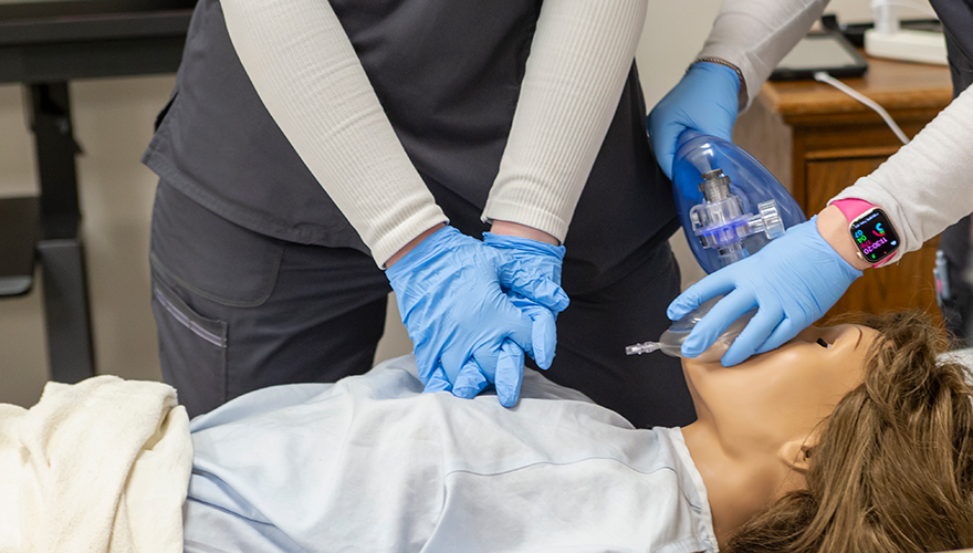 Close up picture of the arms and hands of two nursing students working on a mannequin, one doing chest compressions and the other holding an oxygen mask over the nose and mouth
