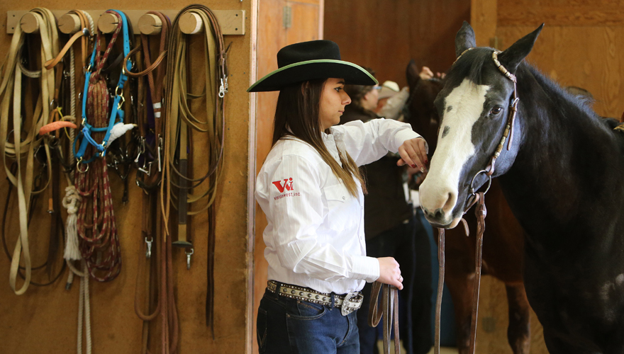 Female student in a white shirt and black hat preparing a black and white horse for a ride, with equipment hanging on a wall