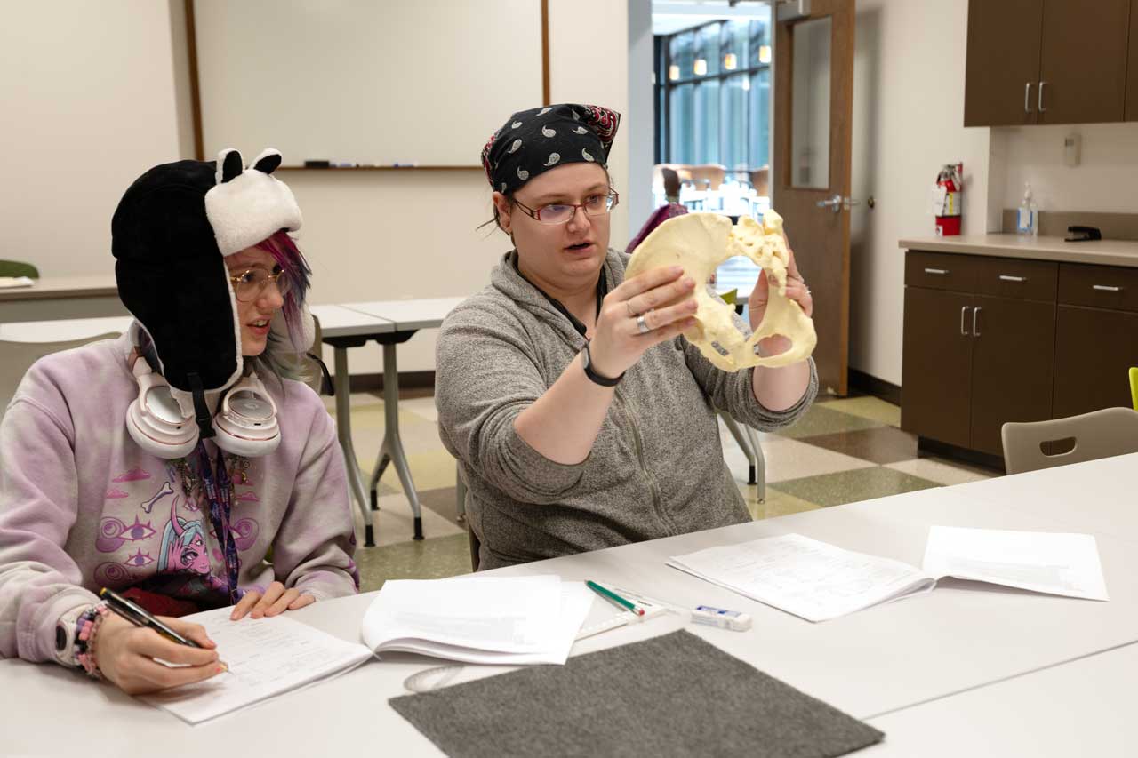 Male student climbing up a climbing wall using handgrips
