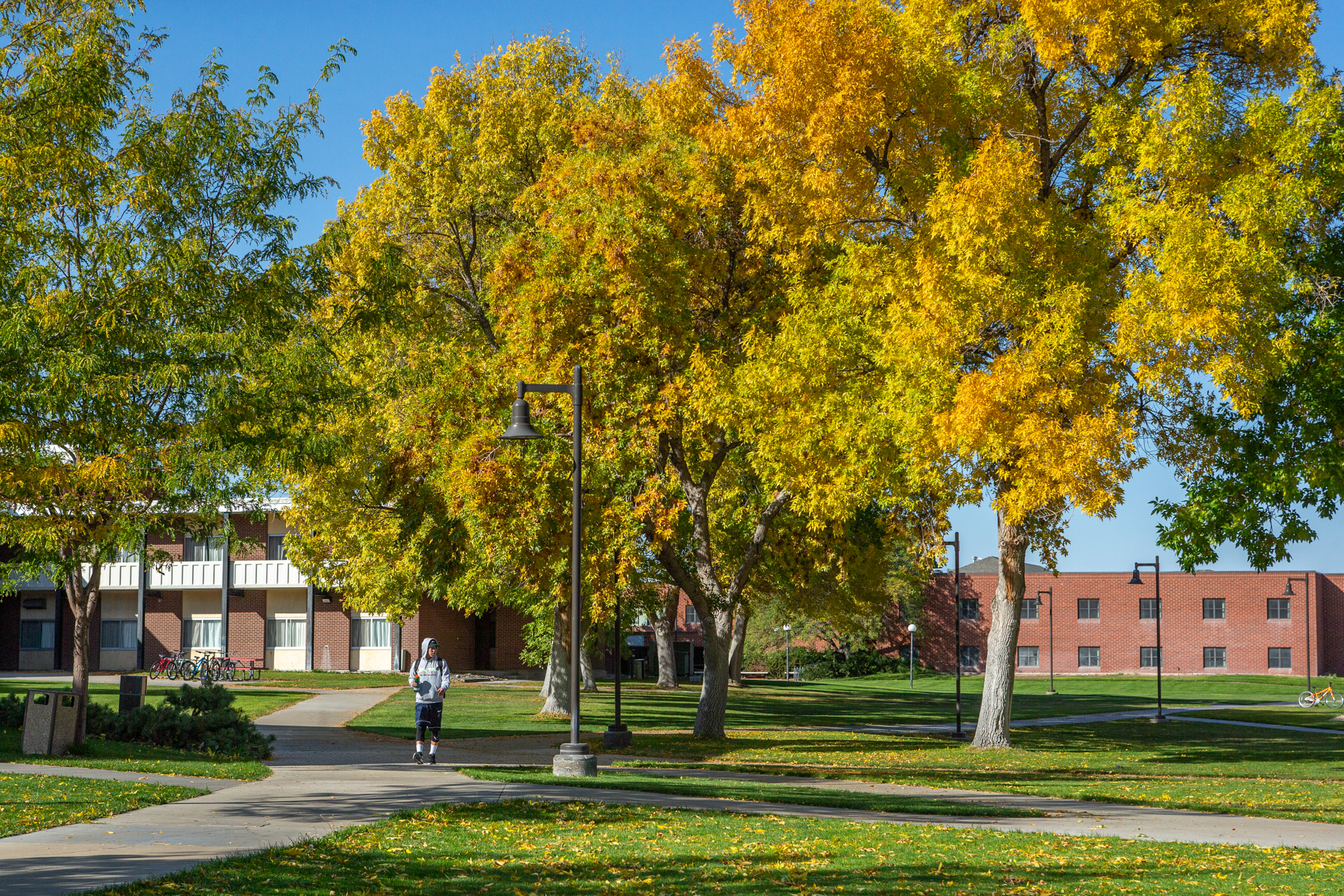 Student walking through campus in the fall