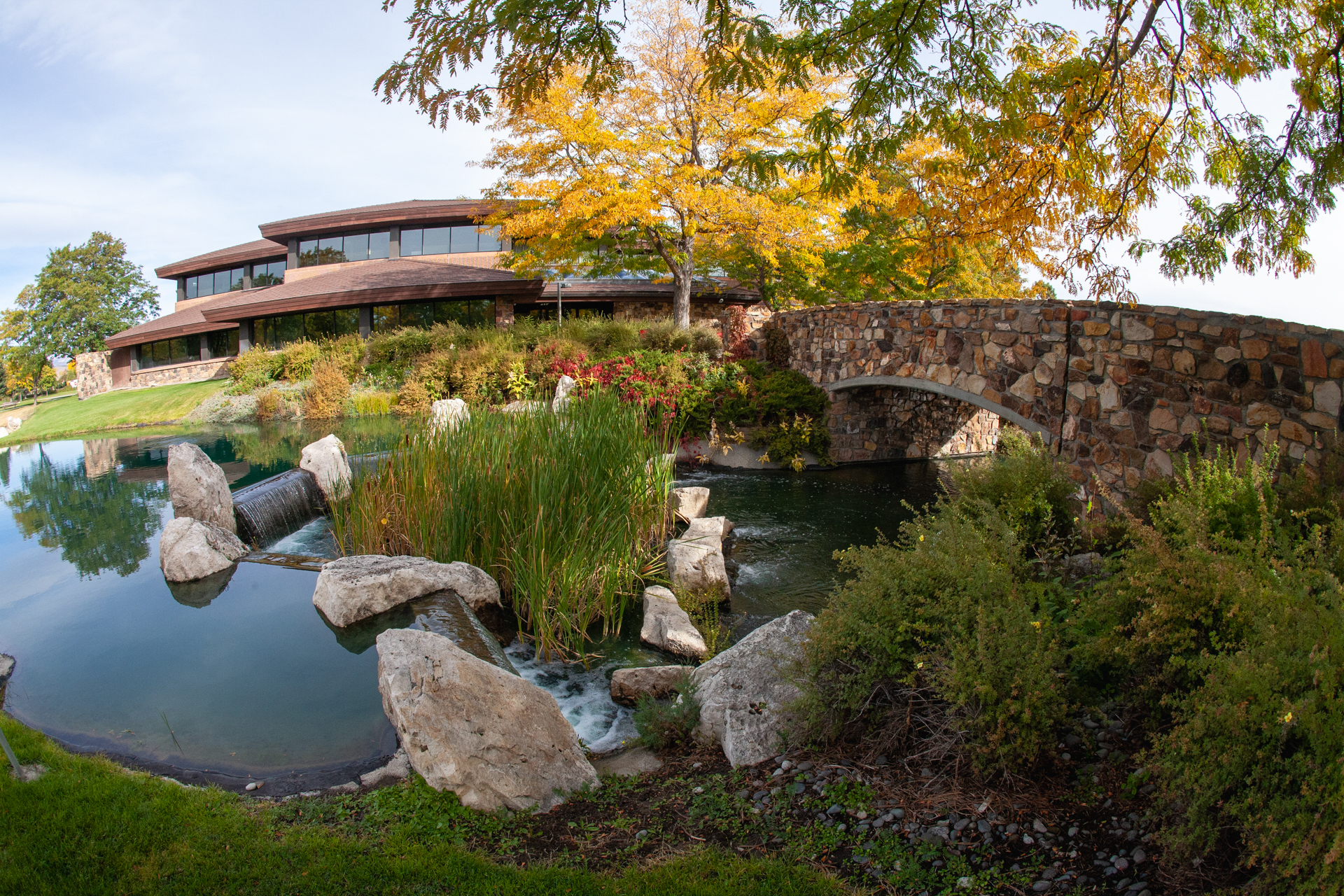 Entrance over the bridge to Cody Library